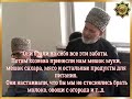 Чеченец про Ингушей (с переводом на русский)