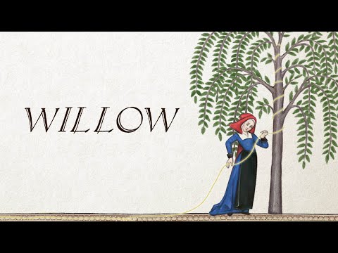 Willow - Taylor Swift