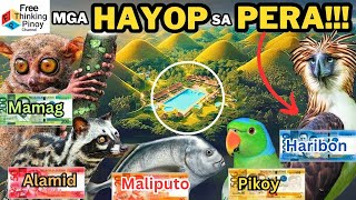 Kilalanin ang mga HAYOP SA PERA ng Pilipinas | Exotic Animals in Philippine Paper Bill