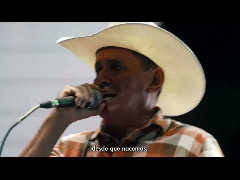 Día de la Araucanidad 2025