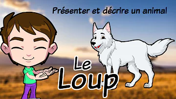 Présenter Et Décrire Un Animal Le Loup Production écrite Animals In French 