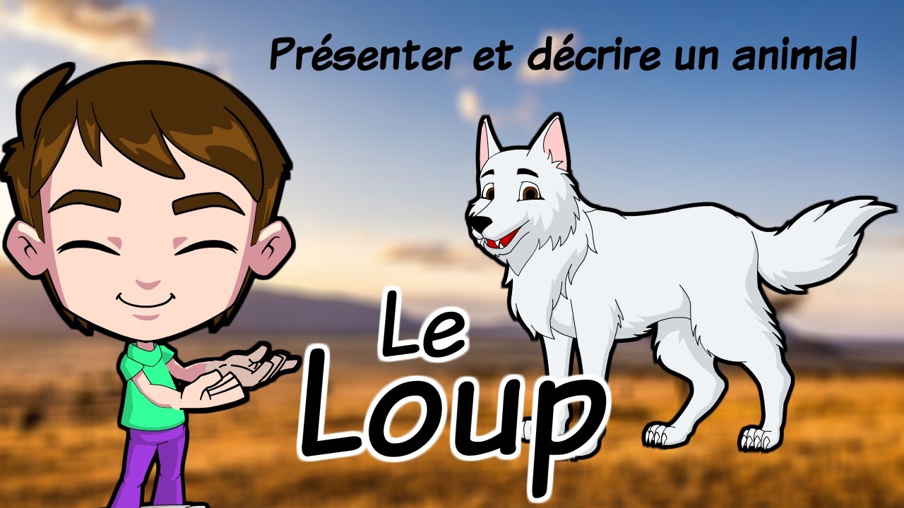 Présenter et décrire un animal / Le loup/ production écrite /animals in  french/ 