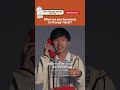 Yakult Orange is going and we have feelings