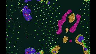 Ambient procedural noise + random particle life simulation