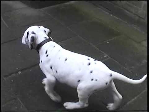1998 - met Jacco in de tuin