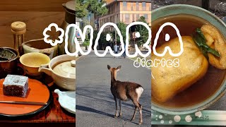 Nara vlog. 일본 소도시 나라(奈良)여행 다이어리🦌유부 주머니 우동|일본 전통 카페|모찌|몽블랑|기념품 푸천|오사카 근교 당일치기 여행. MOning vlog