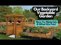 All about our vegetable garden cost how to  more  aspenackley