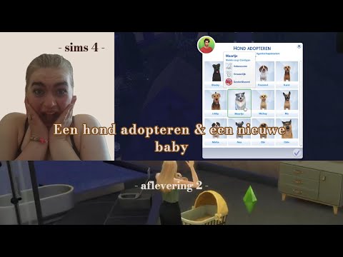 Een nieuwe baby en een hond adopteren 