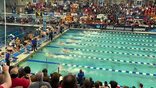 11335 200 Free Relay Ncaa Record florida  2023 Mens Ncaa Chdanionships