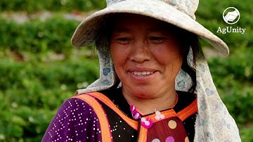 Digital Trust and Transparency - AgUnity