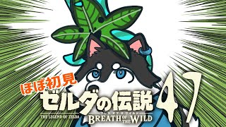 【はじめてのゼルダの伝説】＃47　5月病でもコログコログ【BotW】