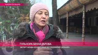 Таджикистан вводит генетическую проверку перед свадьбой Таджикистан вводит генетическую проверку перед свадьбой
