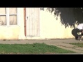 Welcome To Heroin: Zack Krull