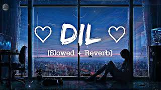 Dil Slowed Reverb Song Sherays Female Version Ek Villain Returns Movie Song.
