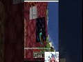 ваше здоровье!  #minecraft  #майнкрафт
