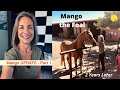 Mango the Foal UPDATE-Part 1