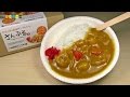 DIY Replica Food Kit - Curry and Rice　食品サンプルキットさんぷるん　カレーライス作り