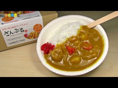 DIY Replica Food Kit - Curry and Rice　食品サンプルキットさんぷるん　カレーライス作り