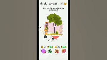 Braindom Level 50 Walkthrough