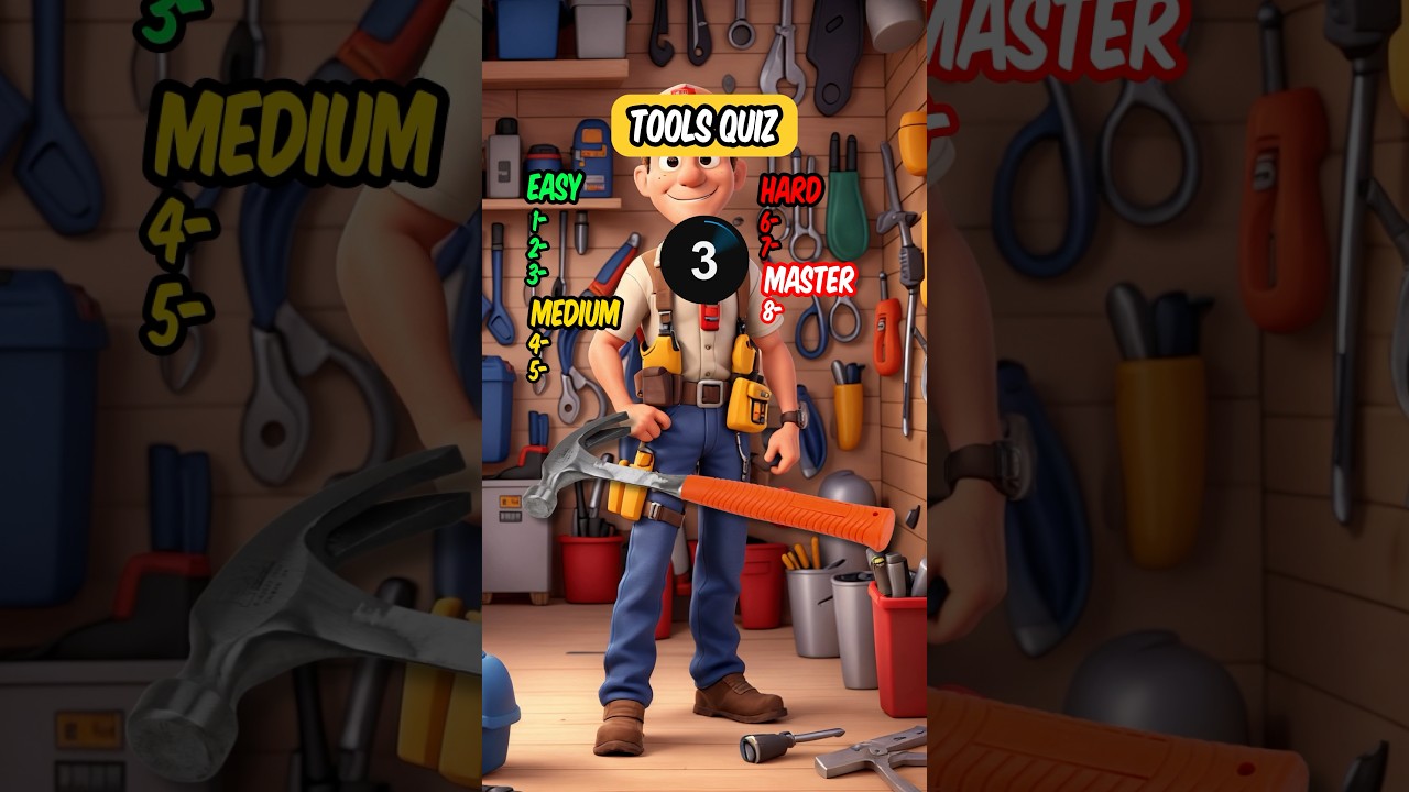 Handyman Hero or Home Improvement Zero?  