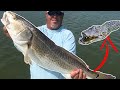 Alligator EATS MY BAIT!! Fishing For Bull Reds On Texas Coast {Catch Clean Cook}
