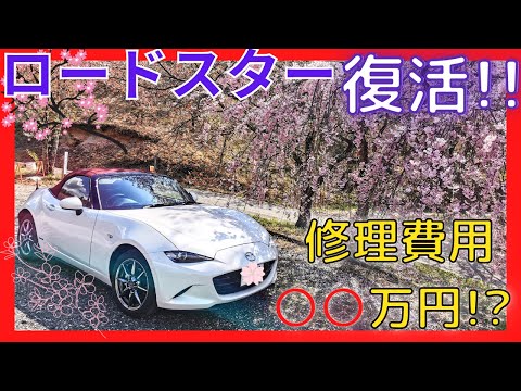 【ロードスター】〜桜〜 お花見ドライブ！！【苗木さくら公園】NDロードスターで桜を見に行ってきた♪