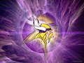 Skol vikings  official fight song