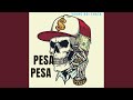 Pesa Pesa