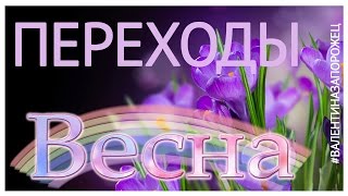 Переходы Весна Transitions Spring Proshow Producer