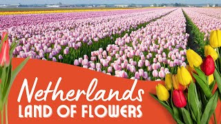 HIDDEN GEMS of NETHERLANDS You Won't BELIEVE Exist!