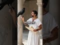 "Feathered Philosophers"  #motivation #inspiration #mindset #philosophy #stoicism