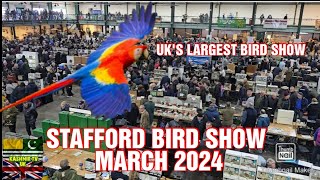 Stafford Spring Bird Show 2024 | UK Largest Bird Show | Bird Show 2024 | Parrots | Birds | Pigeons