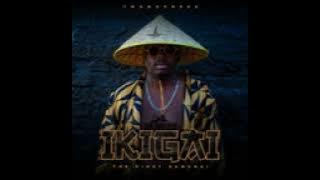 Kabza de small ft T man xpress- injabulo