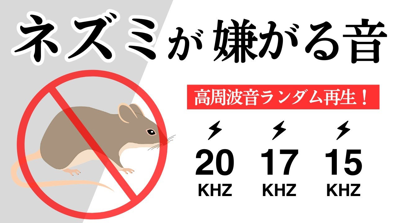 ネズミが嫌がる音。ネズミ駆除業者に相談する前に。簡単手軽なセルフ 