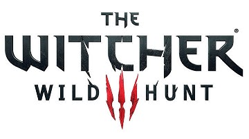 The Witcher 3 | Daft walk bug / glitch