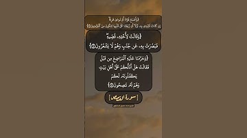 سورة القصص الآية ١١ الى ١٣ بصوت الشيخ محمد صديق المنشاوي