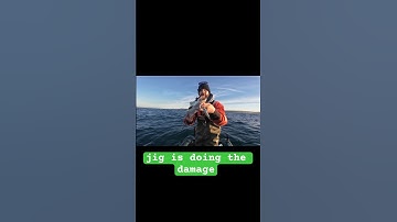 The @JOKERjigsandlures smashing the pollack in November