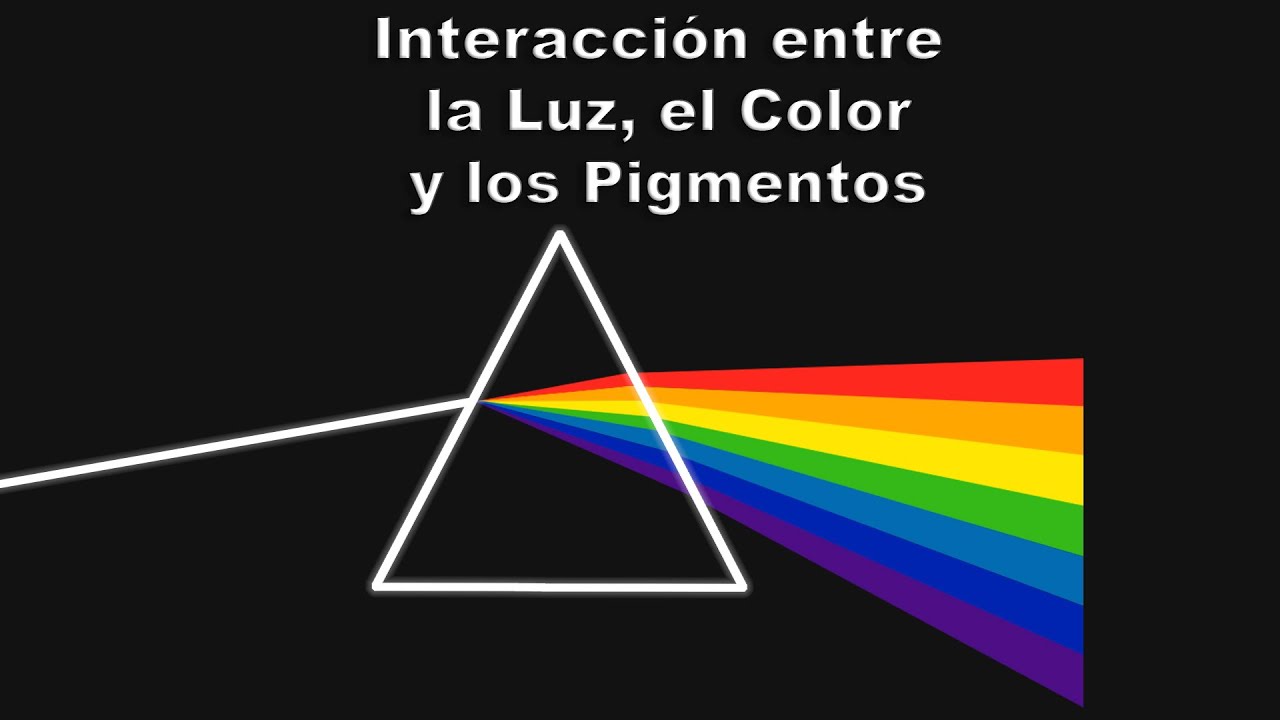 Interacción Entre La Luz El Color Y Los Pigmentos Youtube