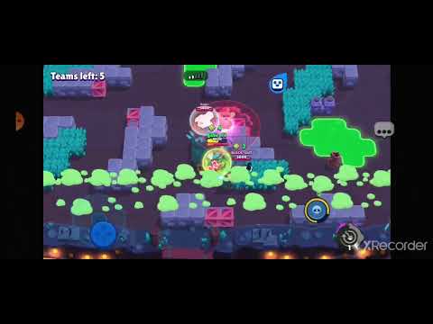 მგონი კარგი ვიდეო გამოვიდა?