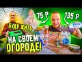 Поставил Теплицу за 33к от Завод-Заборов! Пробую новинки Светофор!  1кг пельменей за 65р!