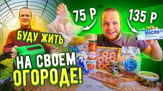 Поставил Теплицу за 33к от Завод-Заборов! Пробую новинки Светофор!  1кг пельменей за 65р!