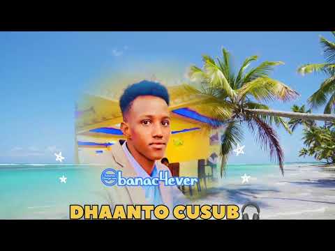 DHANTO CUSUB CANAB ABWAN NUUR GOOSAAR NEW VIDEO 2025 