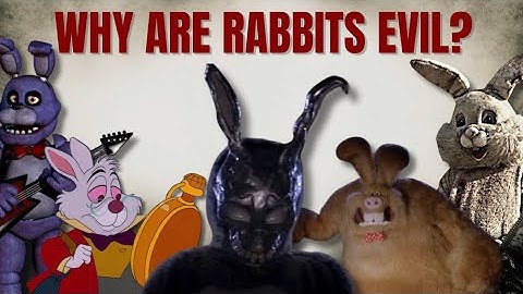 Why Do Rabbits Symbolize Violence?