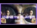 Wake the Player (song)