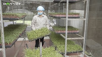 Hội nông dân Thường Tín không để người nông dân cô đơn giữa mùa dịch bệnh