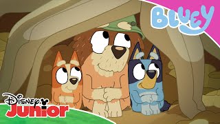 Bluey | Aventuras No Campo