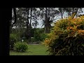 3 Drones: DJI Mini SE, Mini 3 & Mini 5 Pro Queensland & Northern New South Wales Australia