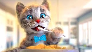 Little Kitten Preschool Adventure Educational Cartoons For Kids - Learning  Alphabet Buds Letters