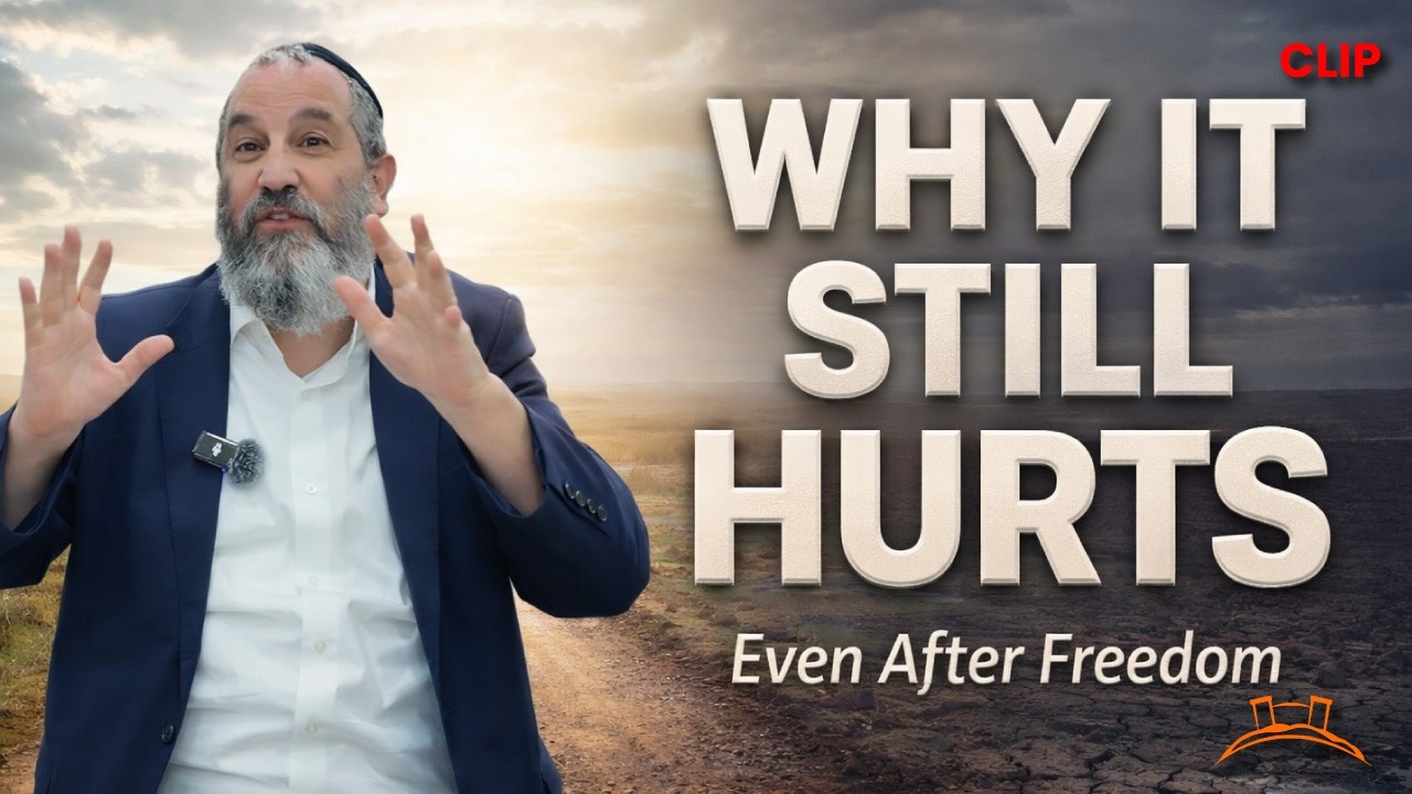 Why Life Still Feels Bitter Even After You’re Free