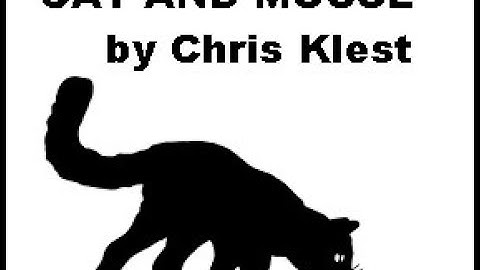 Cat and Mouse Game Demo - Game Created in Excel, using VBA